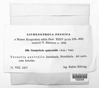 Media resource of Campylacia epidermidis